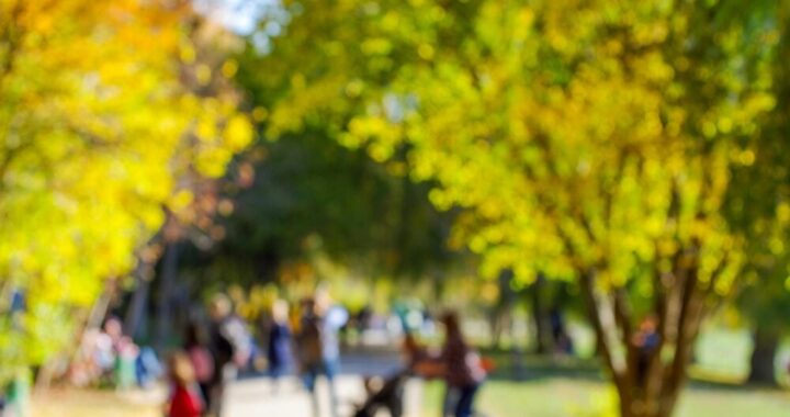 nowe-centrum-wsparcia-dla-dzieci-i-rodzin-otwarte--auto-5278