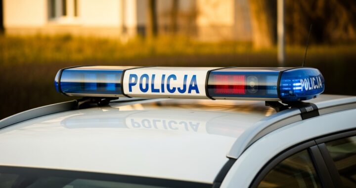 policja-w-ole--nicy-likwiduje-nielegalne-punkty-ha-auto-6072